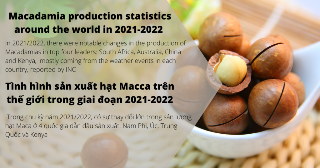 Macadamia production statistics around the world in 2021-2022/ Tình hình sản xuất hạt Macca trên thế giới trong giai đoạn 2021-2022
